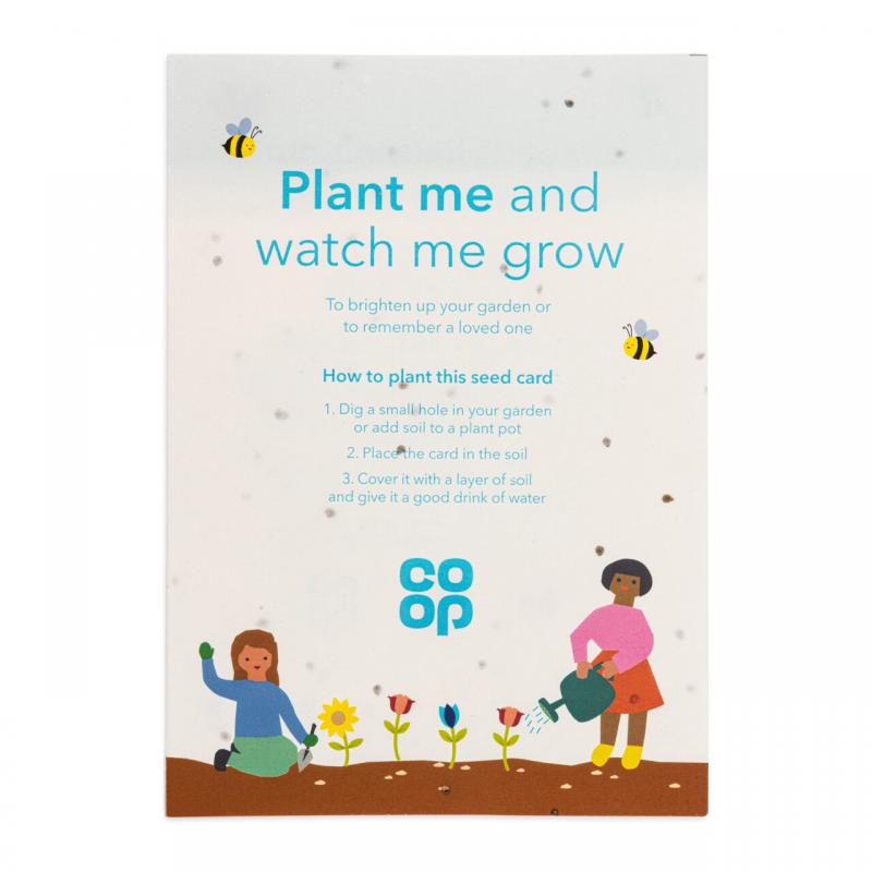 Image of Seed Paper A5 - 140gsm Seed Paper